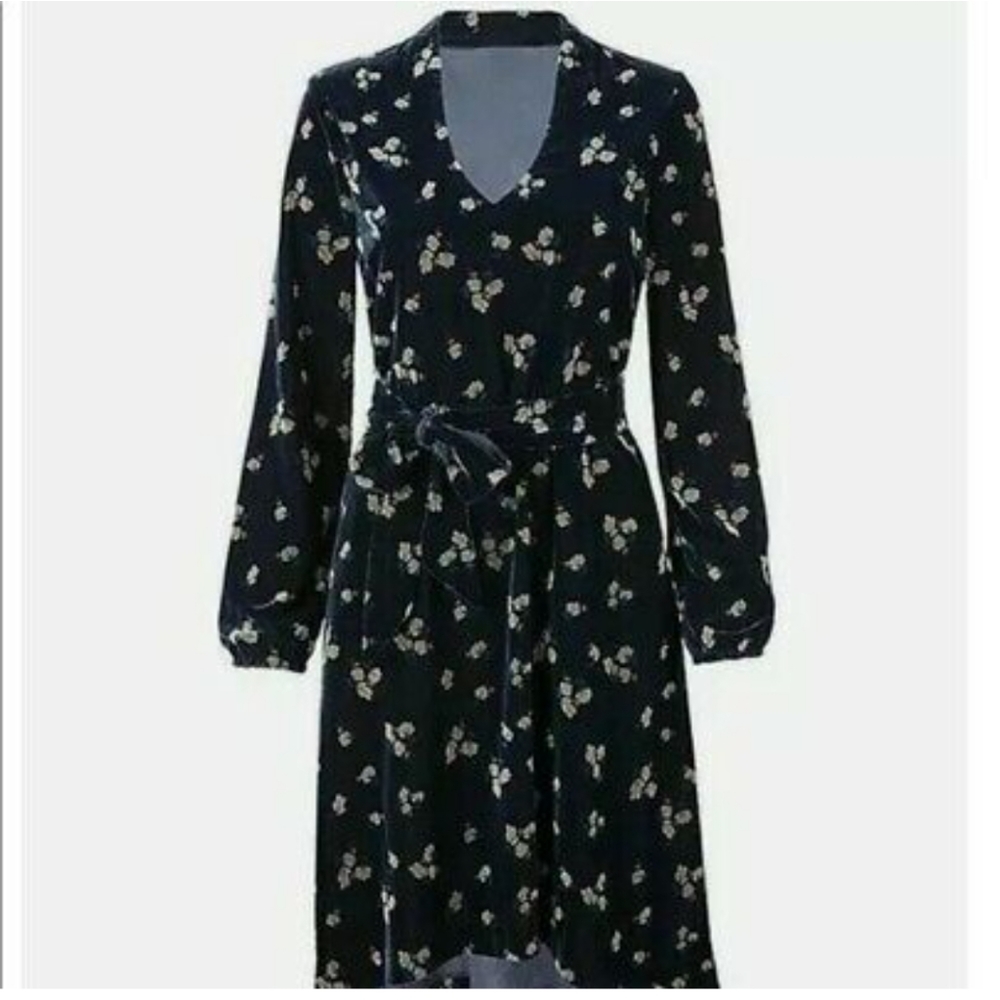 CABI - Decked Out Dress Blue Velvet Floral Print